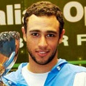 facts on Ramy Ashour