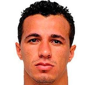 facts on Leandro Damiao