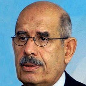 Mohamed ElBaradei facts