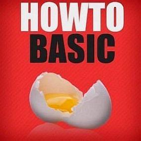 facts on HowToBasic