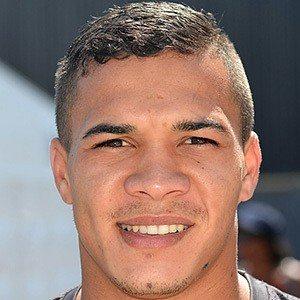 facts on Cheslin Kolbe