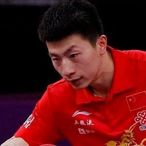 Ma Long facts