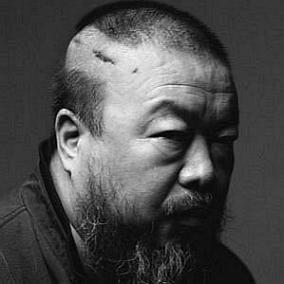 Ai Weiwei facts